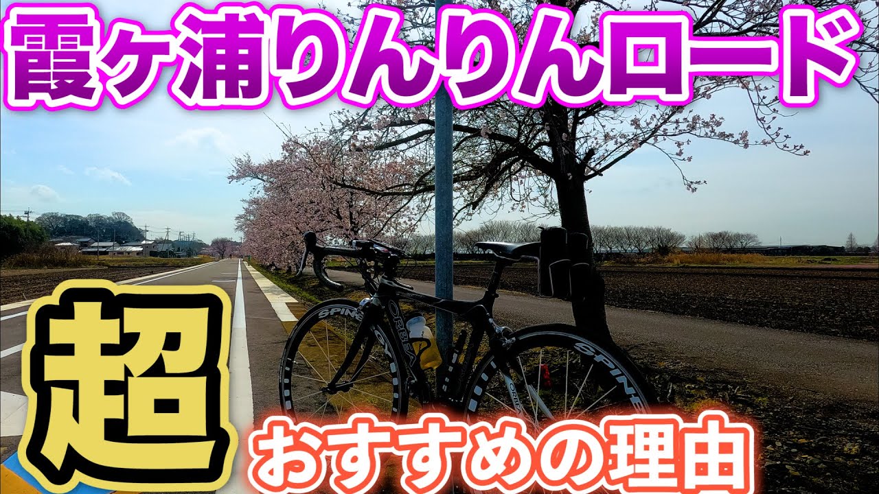 【自転車】ナショナルサイクルルート　つくば霞ヶ浦りんりんロードをサイクリング