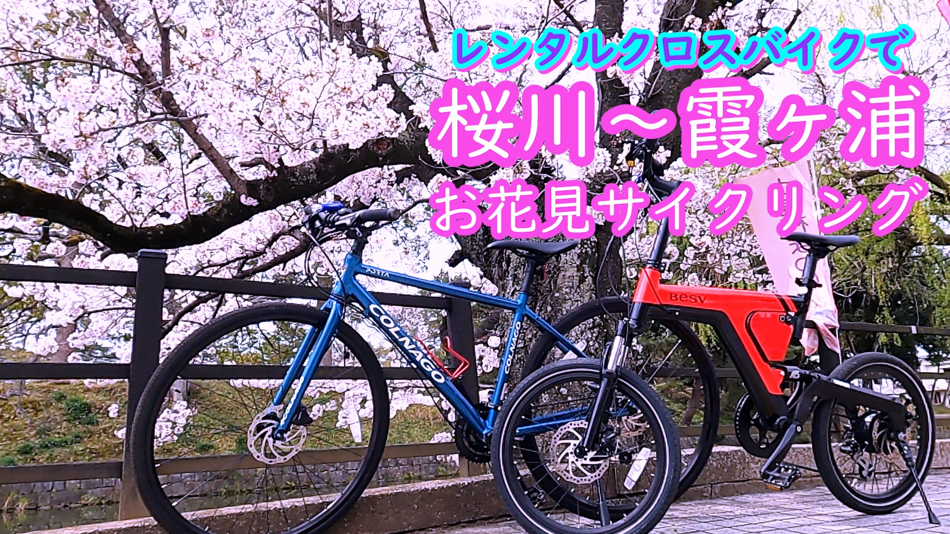 【自転車】レンタルサイクルで楽しむ　土浦・桜川～霞ヶ浦りんりんロード