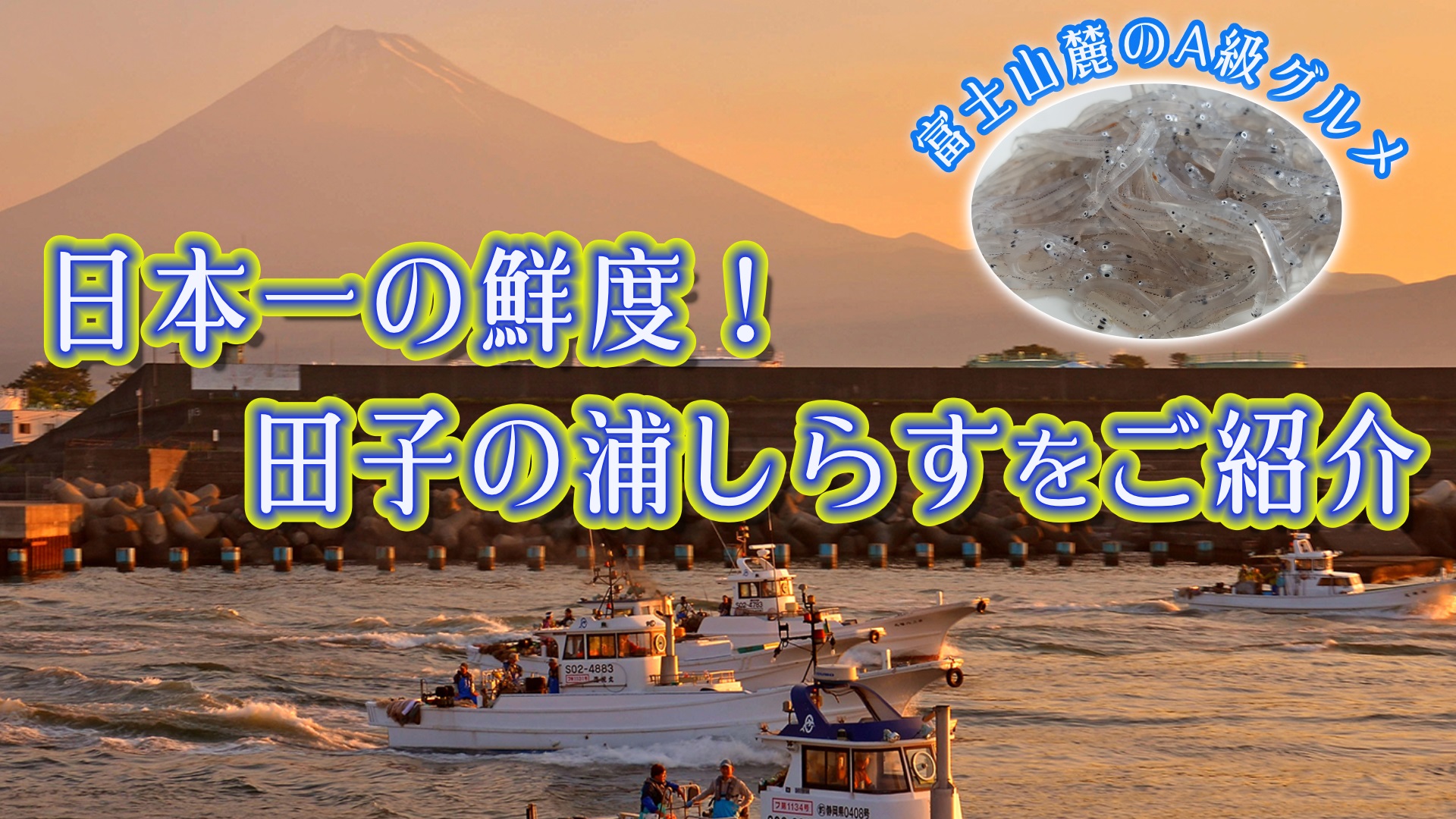 ＼更新／【グルメ】富士山麓のA級グルメ！日本一の鮮度☆静岡県田子の浦漁港のしらす